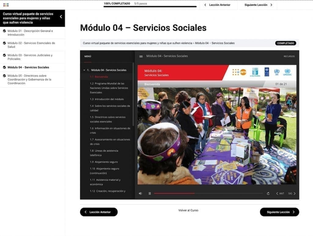 Curso online de Práctica de Servicios Esenciales para Mujeres y Niñas que sufren violencia 