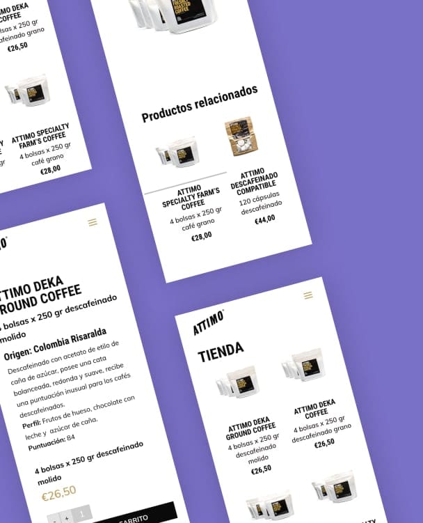Desarrollo web ecommerce