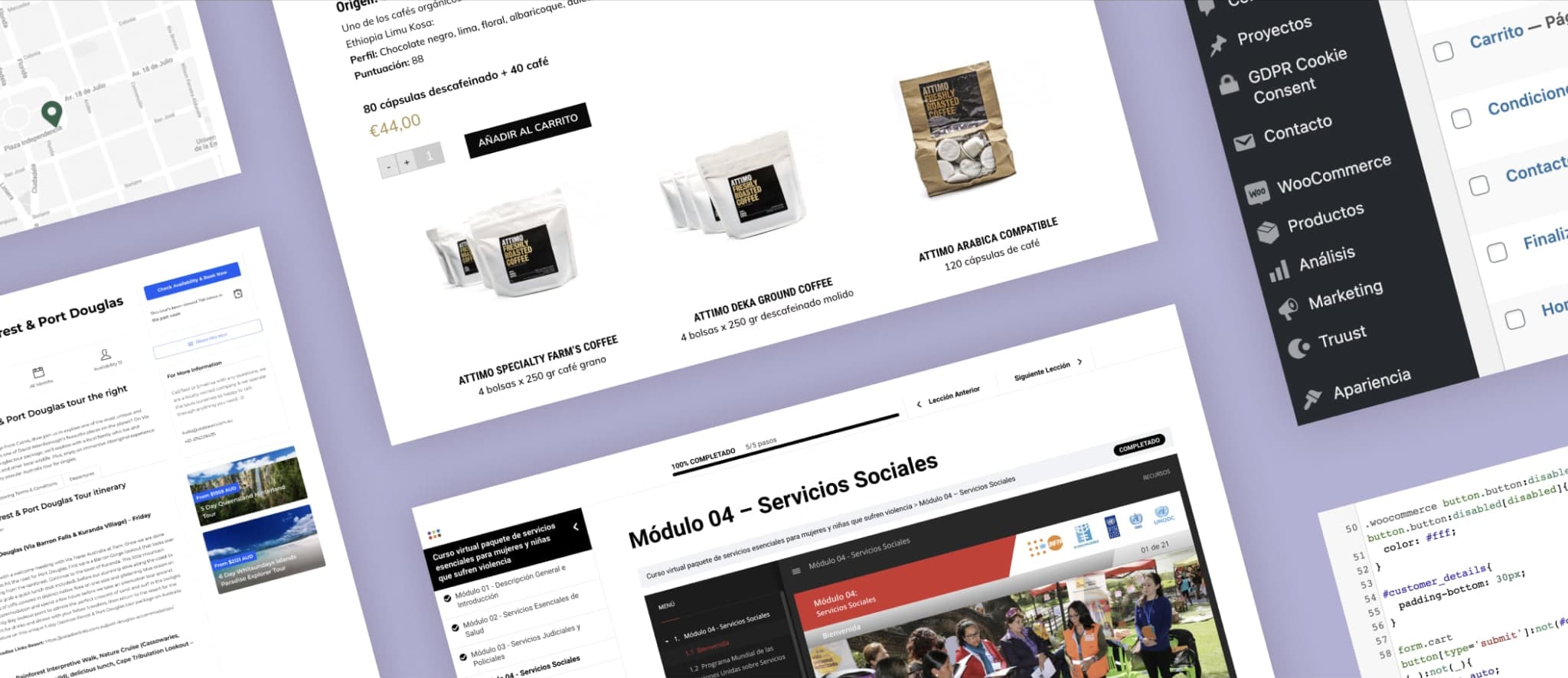 Agencia de desarrollo web y diseño web