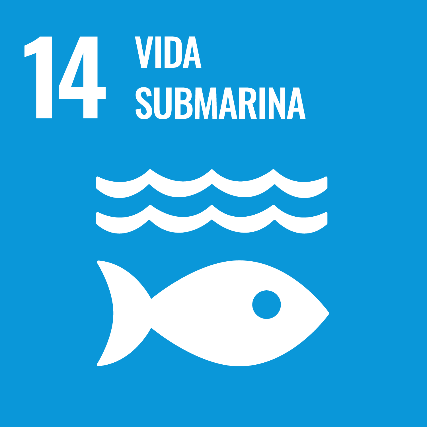 Objetivo de Desarrollo Sostenible 14