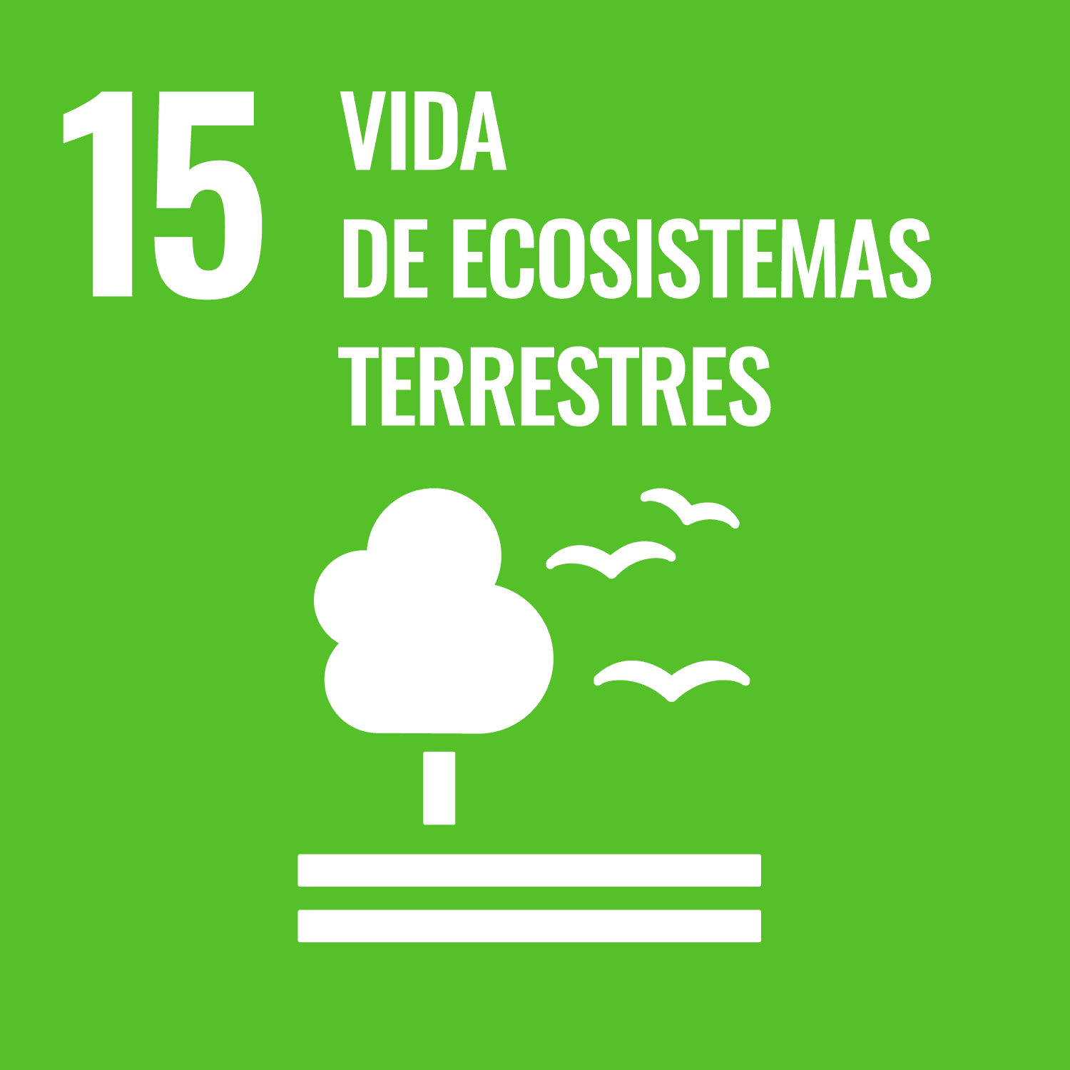 Objetivo de Desarrollo Sostenible 15