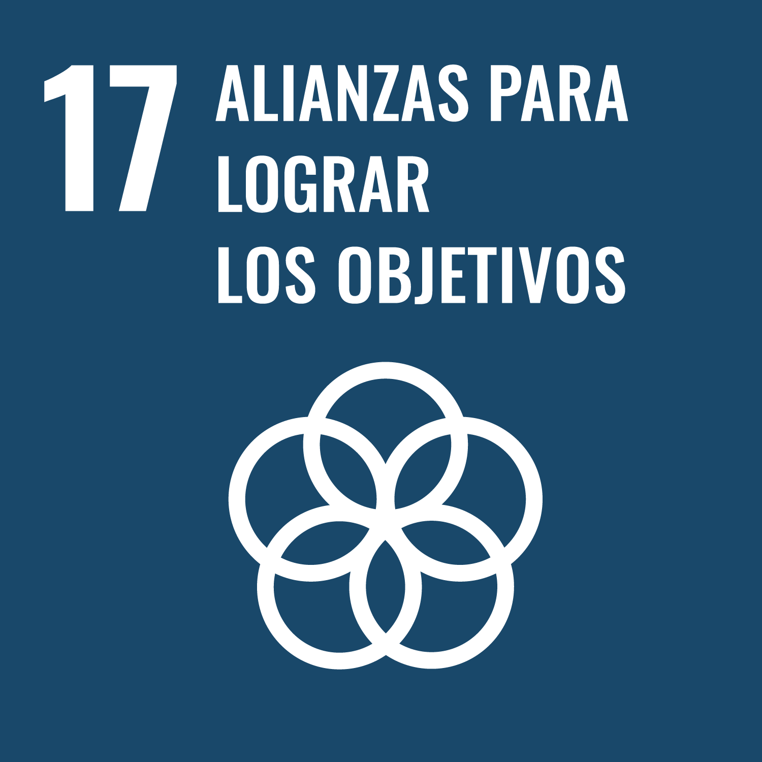 Objetivo de Desarrollo Sostenible 17